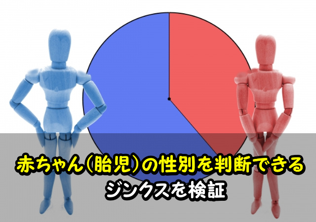 赤ちゃん 胎児 の性別を判断できるジンクスを検証してみた